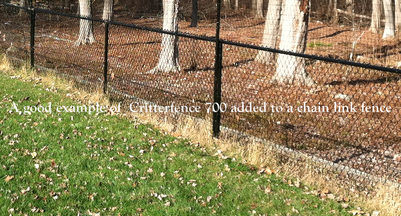 Chain link fence 2025 extension for dogs